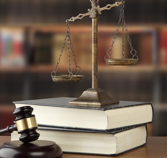 services-content services content